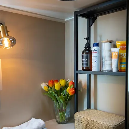 فندق مبيت وإفطار Houseboat Reussi 3*